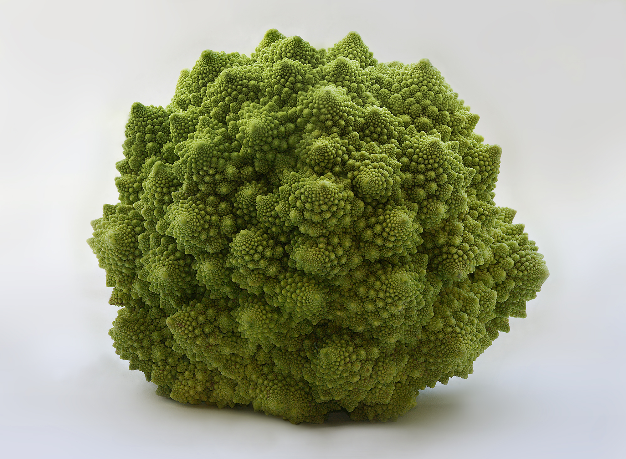 Kalafior romanesco